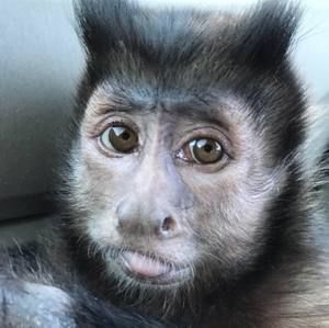 Meet your Posher, Barbara